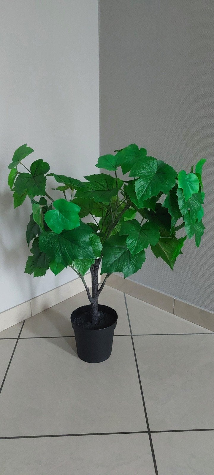 Plante décorative artificielle, Enlèvement