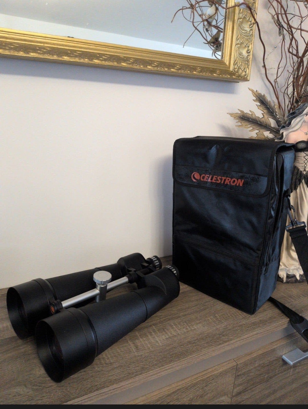 Celestron skymaster 25x100 verrekijker model 71017 met tas, Ophalen