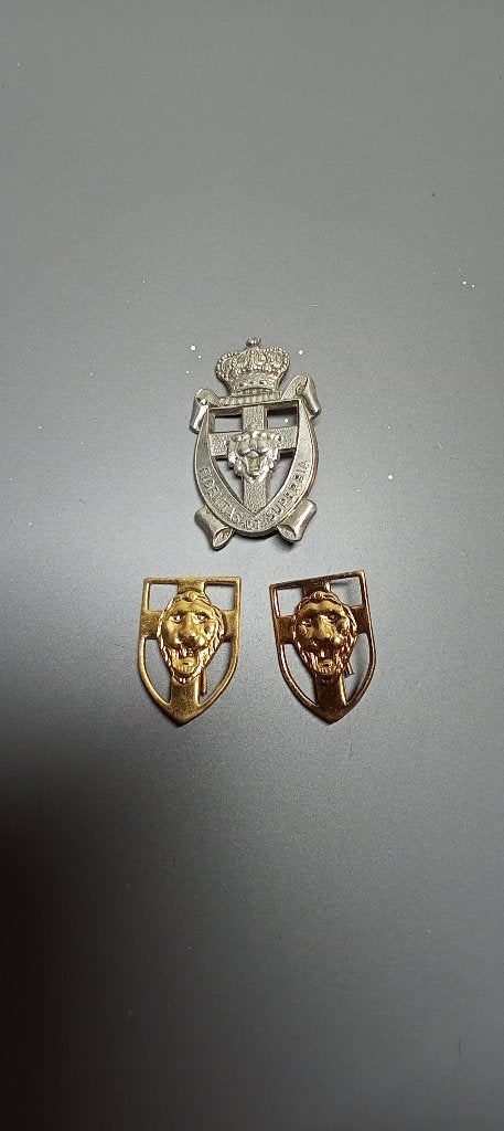 Insignes Regiment Bevrijding - 5 Linie ABL, Collections, Enlèvement ou Envoi, Armée de terre, Ruban, Médaille ou Ailes