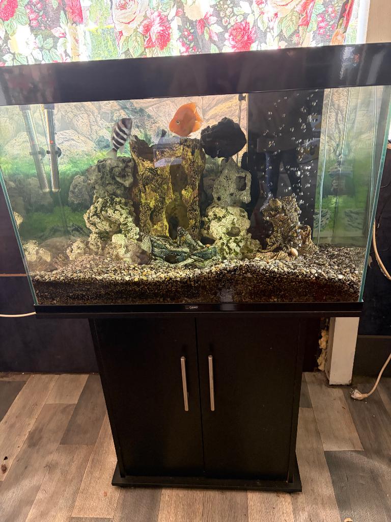 Aquarium, Dieren en Toebehoren, Ophalen, Inclusief vissen, Gebruikt, Gevuld zeewateraquarium