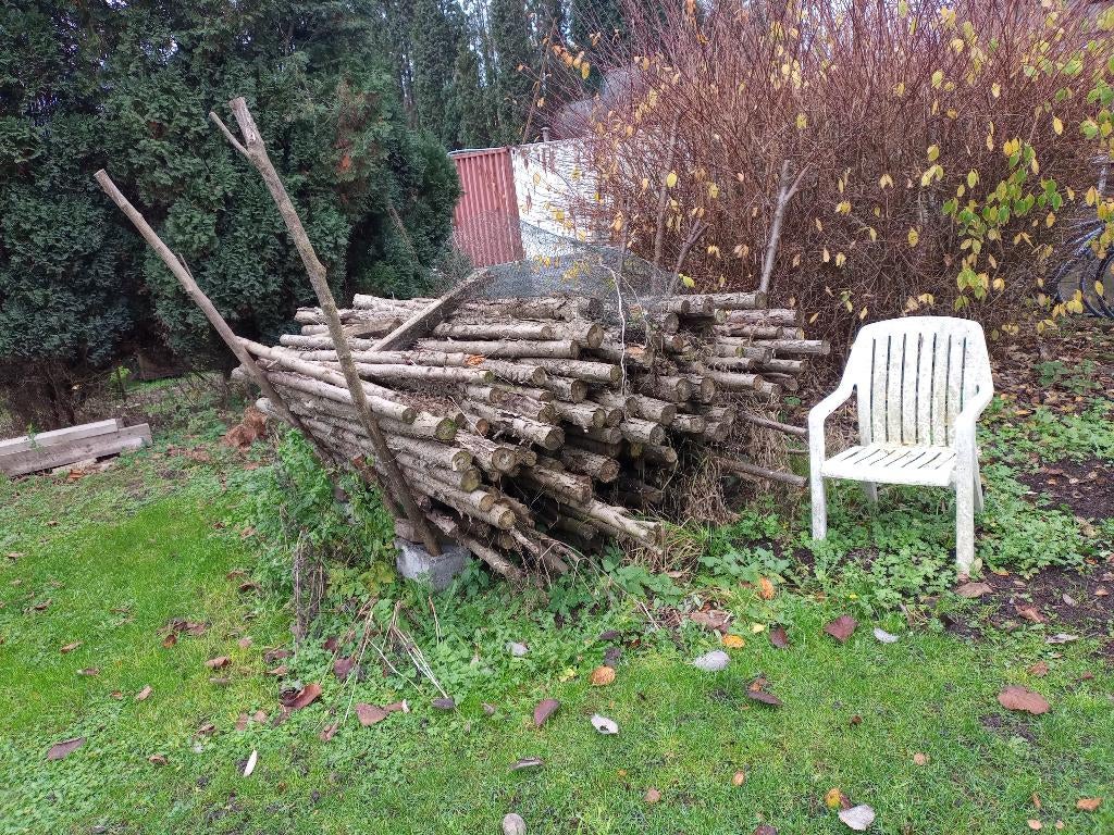 Piquet/tronc de thuyas, Enlèvement