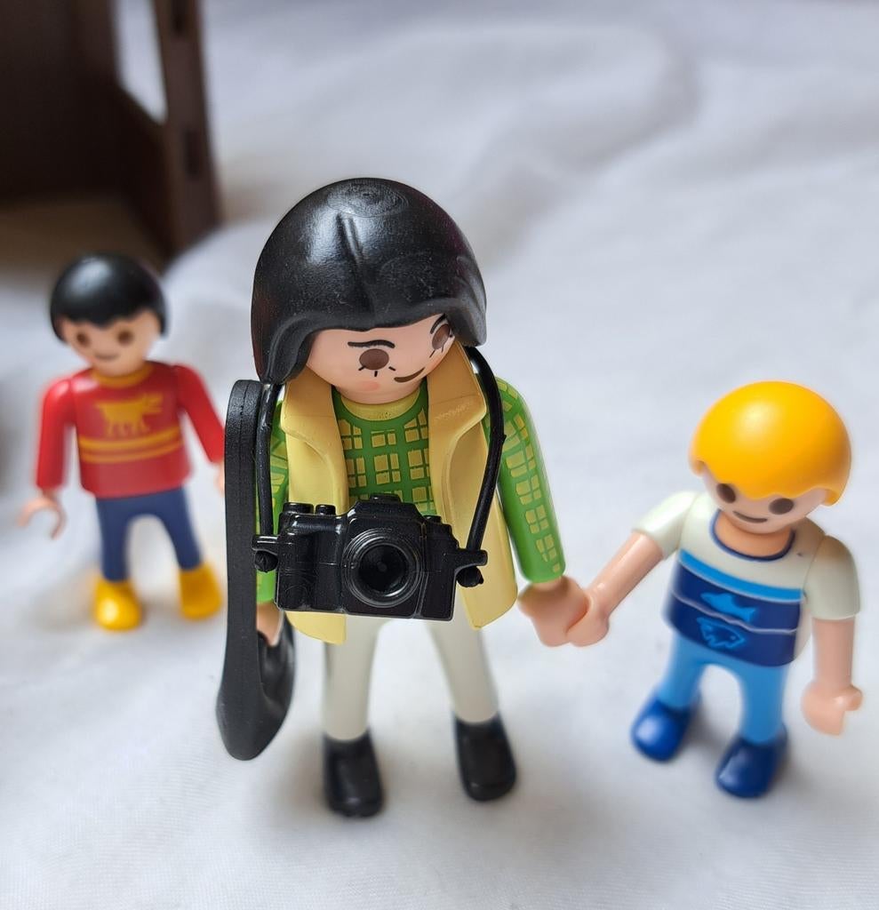Visiteurs de la famille Playmobil, Enlèvement
