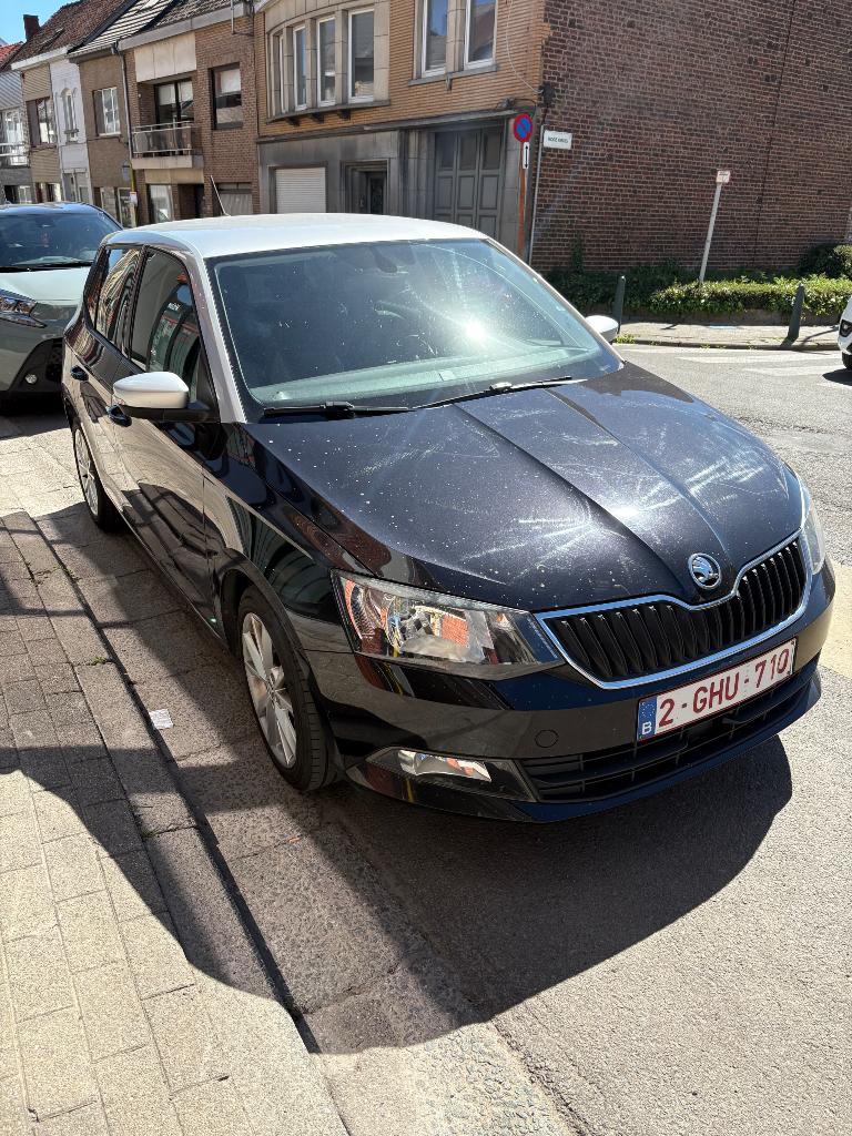 Skoda Fabia 1.2 TSI 90ch, Autos, Skoda, Particulier, Fabia, ABS, Airbags, Air conditionné, Bluetooth, Ordinateur de bord, Verrouillage central