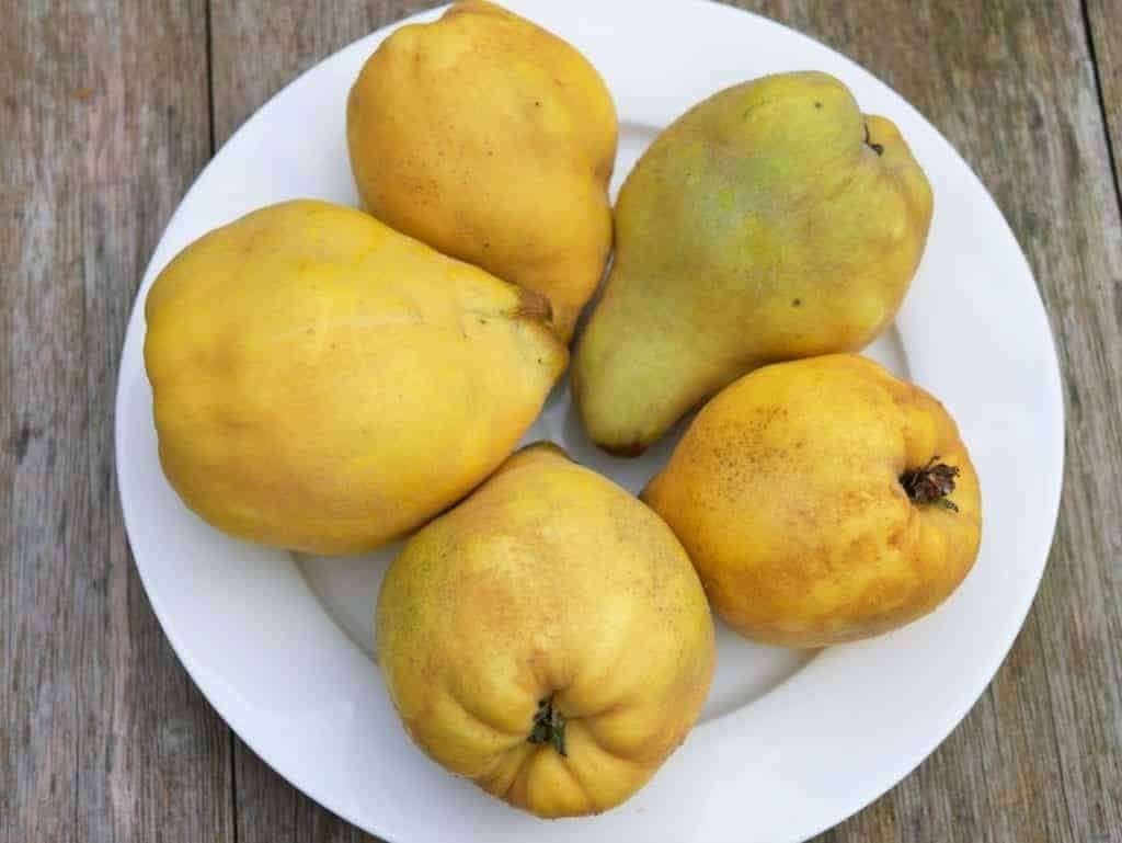 kweeperen, Ophalen