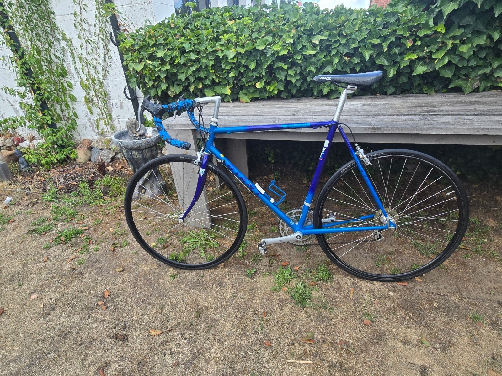 Mooie Retro Giant Racefiets – Blauw/Paars Fade – Campagnolo, Ophalen, 28 inch, Gebruikt, Velgrem