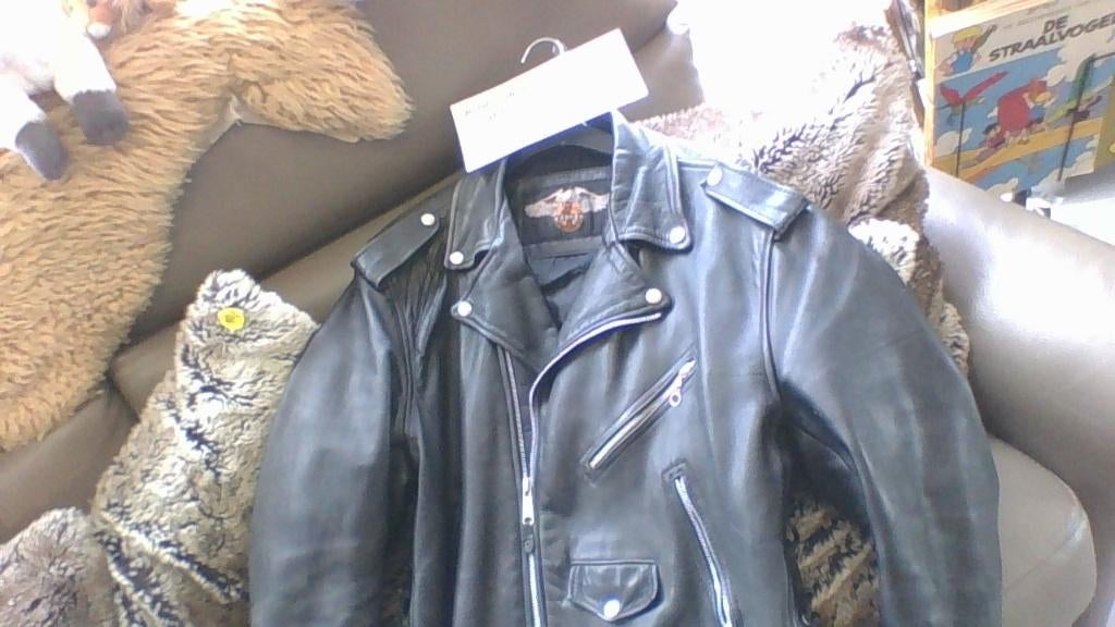 motovest Harley Davidson, Motos, Vêtements | Vêtements de moto, Enlèvement, Manteau | cuir
