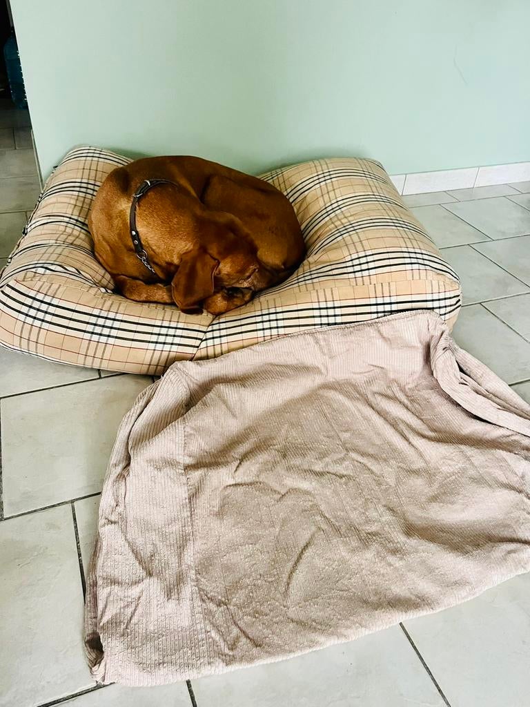 Pouf pour chien, Enlèvement, Comme neuf