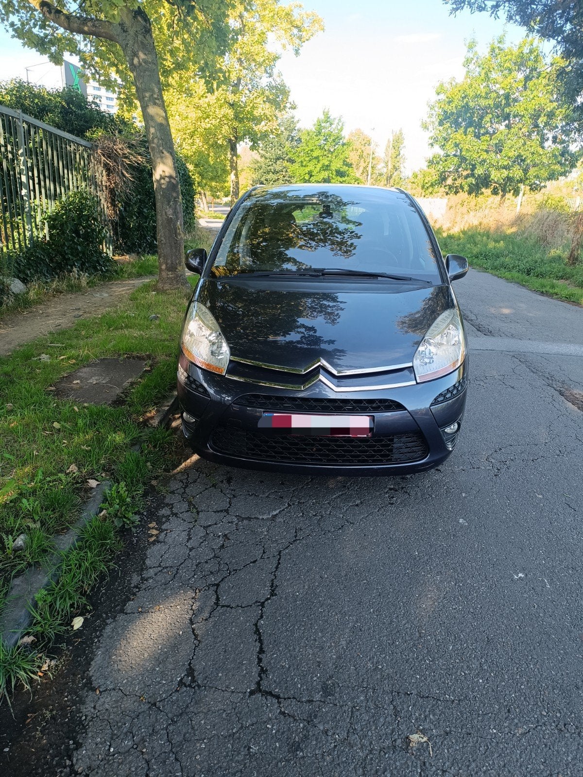 Citroën C4 Picasso, 4 cilinders, Particulier, ABS, Euro 4