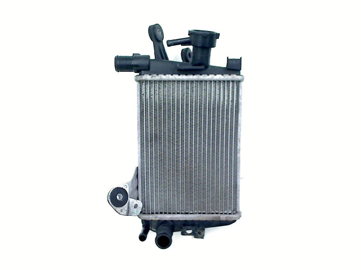 RADIATEUR BMW R 1250 GS Adventure 2019-2023 (R1250GS 19), Dhr. S. di Majo, Gebruikt, Info@cama-motorparts.nl, P.J. Troelstraweg 8 8
3144 CX  MAASSLUIS, NL