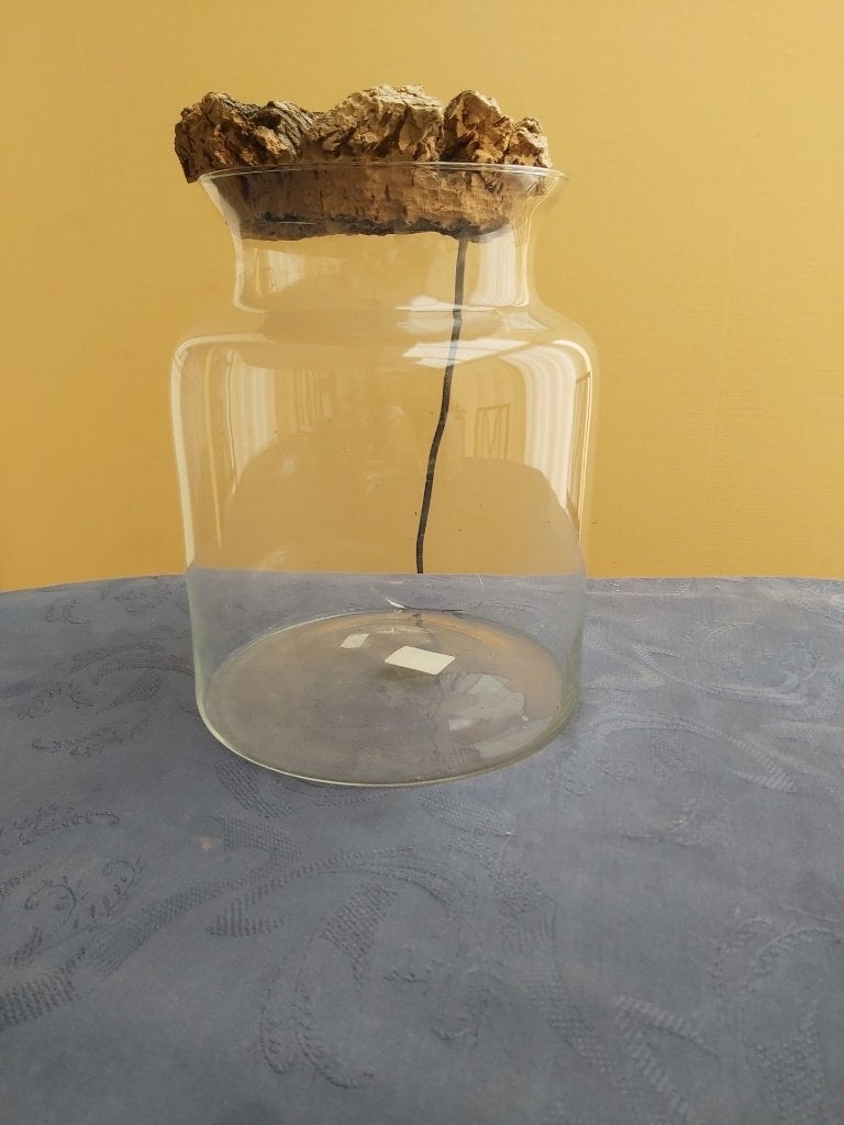 Terrarium + éclairage/fendillé, Maison & Meubles, Plantes d'intérieur, Enlèvement