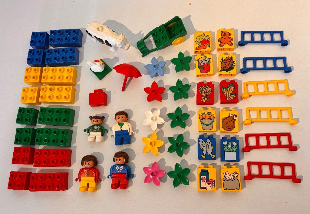 Lot Duplo standaard blokken + speciale blokken, Overige thema's, Ophalen of Verzenden, Zo goed als nieuw, Inclusief minifiguren