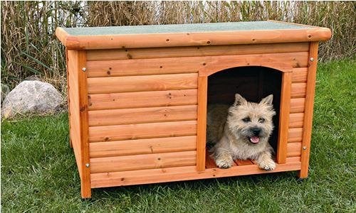 nieuw hondenhok slaaphok voor kleine honden, Ophalen, Nieuw, Hondenhok