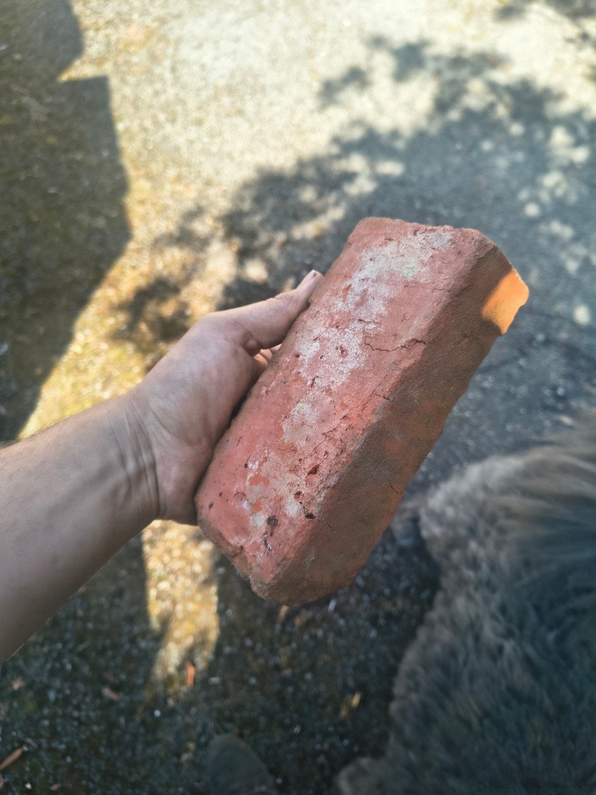 oude Beerse machinesteen hand gekuist +/- 11 000, Doe-het-zelf en Bouw, Ophalen