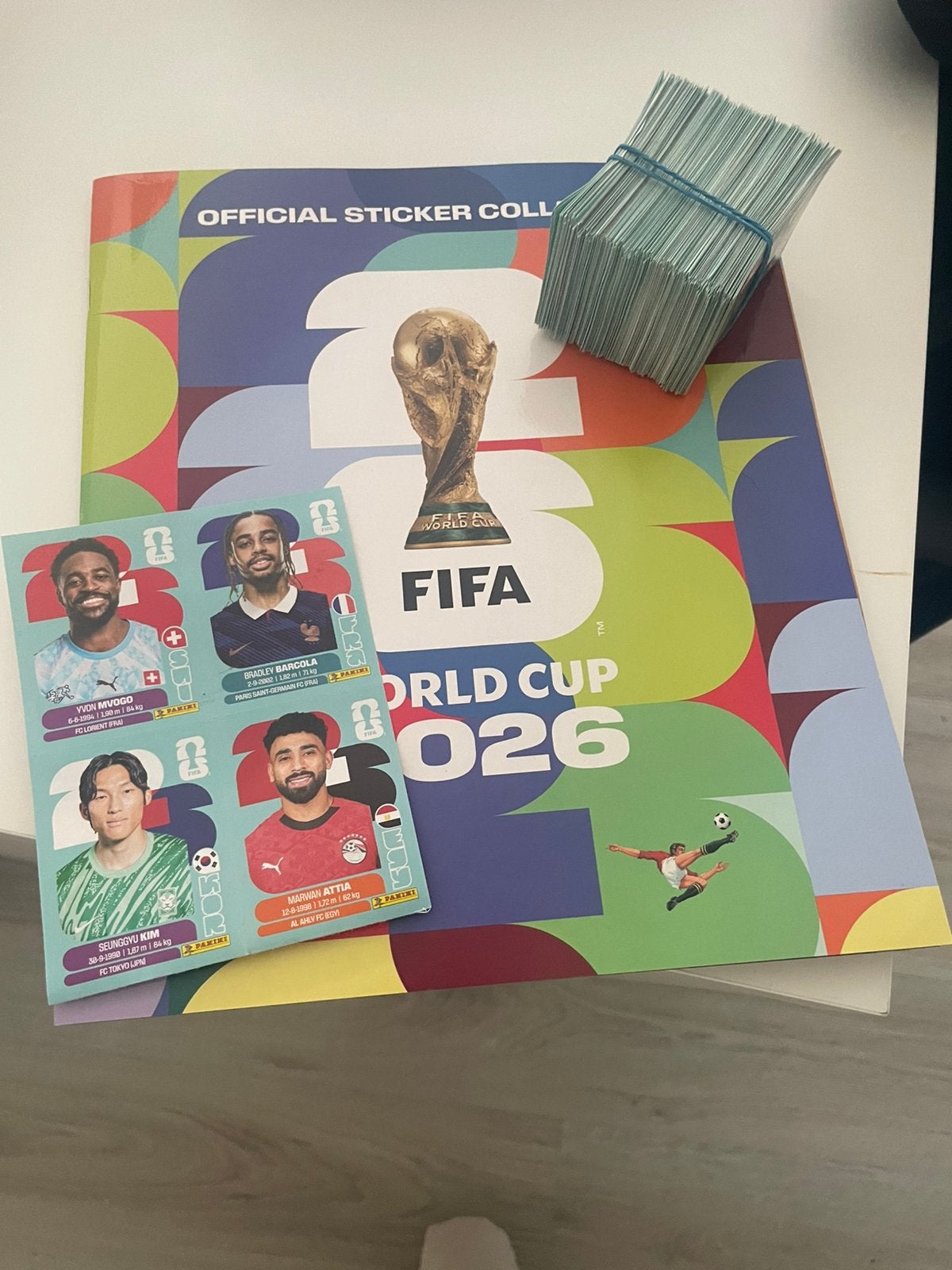 Panini boek compleet, Verzamelen, Ophalen of Verzenden, Zo goed als nieuw, Poster, Plaatje of Sticker