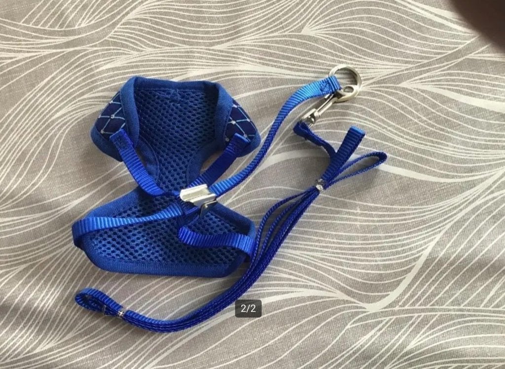 Harnasje en riem voor kleine hond. Maat extra small. NIEUW., Dieren en Toebehoren, Hondenriemen, Ophalen, Nieuw, Hondenriem-accessoire