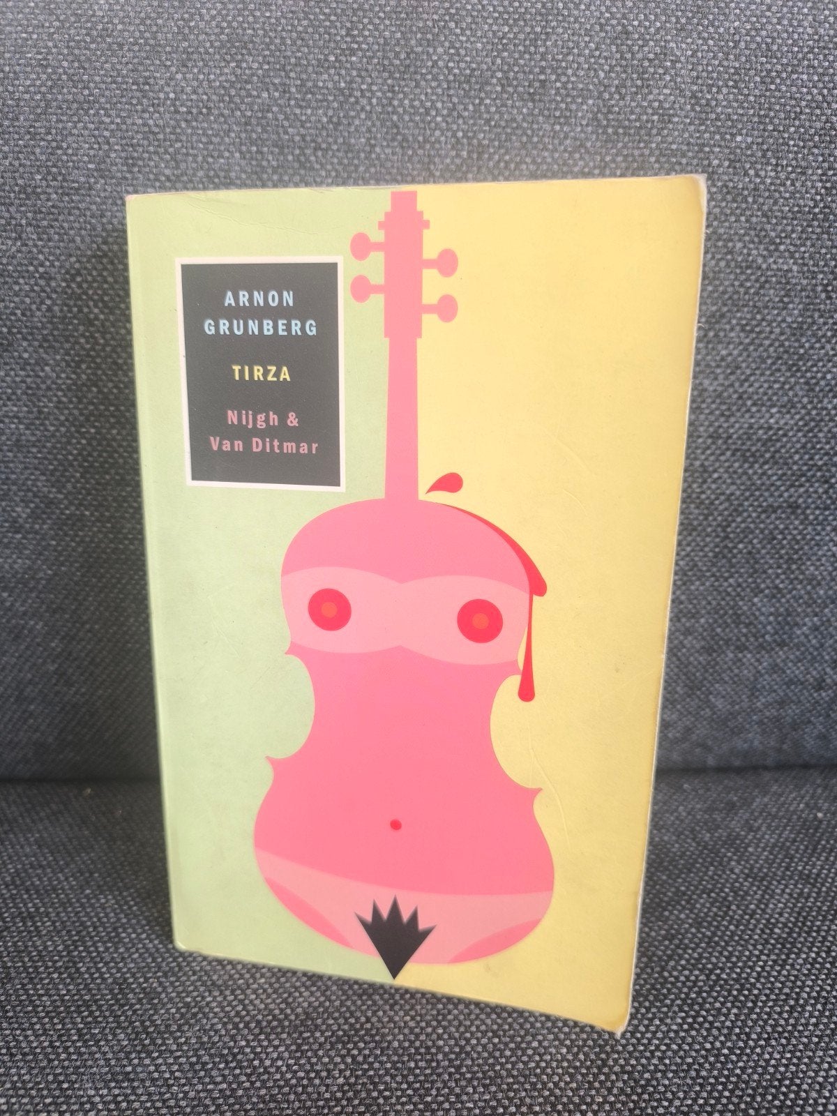 Tirza (Arnon Grunberg), Enlèvement