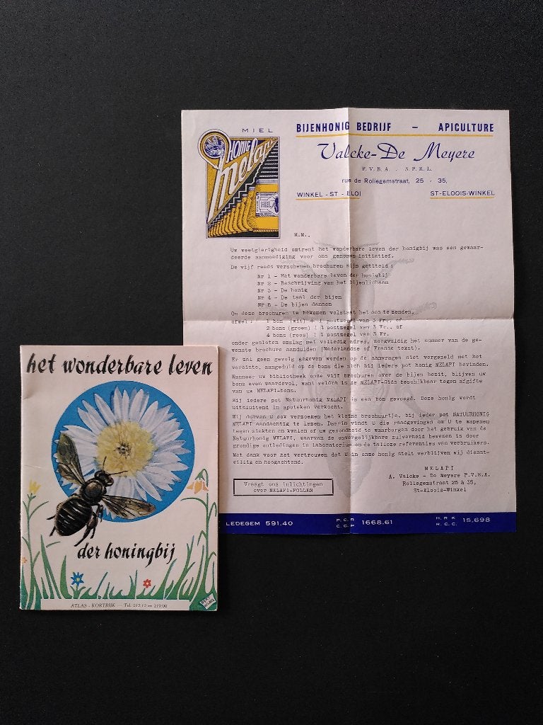 La vie merveilleuse d'une abeille, Livres, Enlèvement ou Envoi, Comme neuf