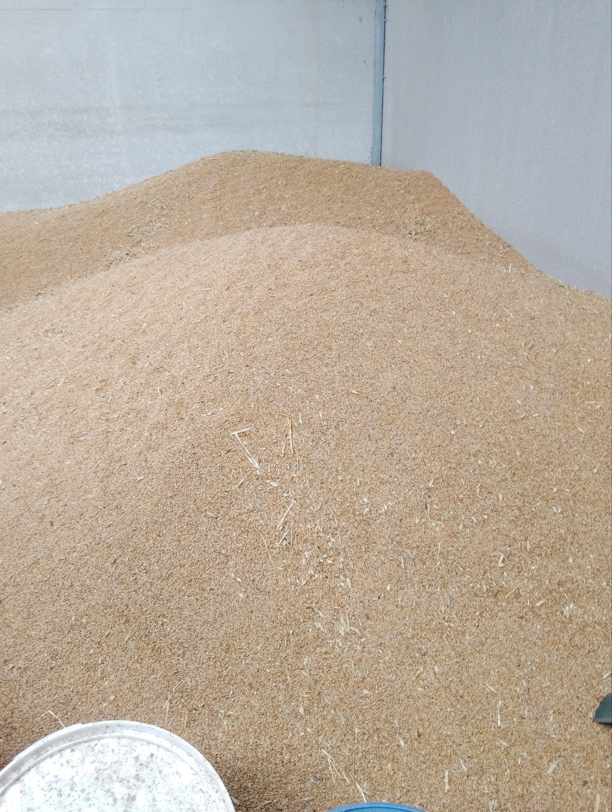 triticale, Articles professionnels, Enlèvement