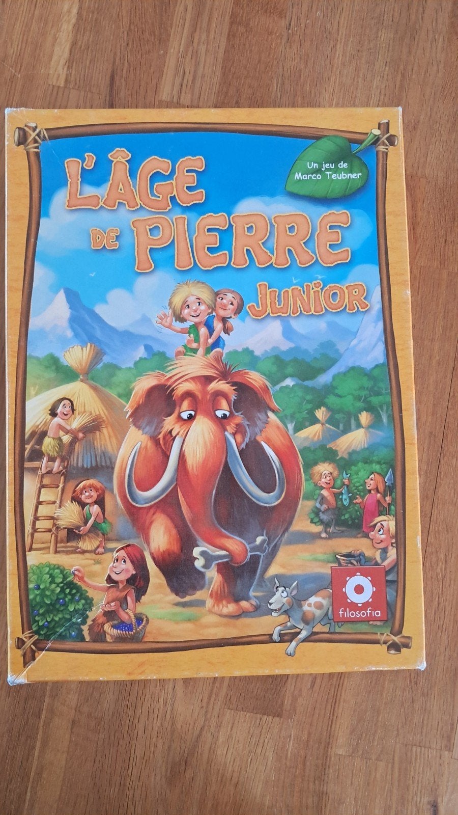 Stone Age spel, Hobby en Vrije tijd, Gezelschapsspellen | Kaartspellen, Ophalen