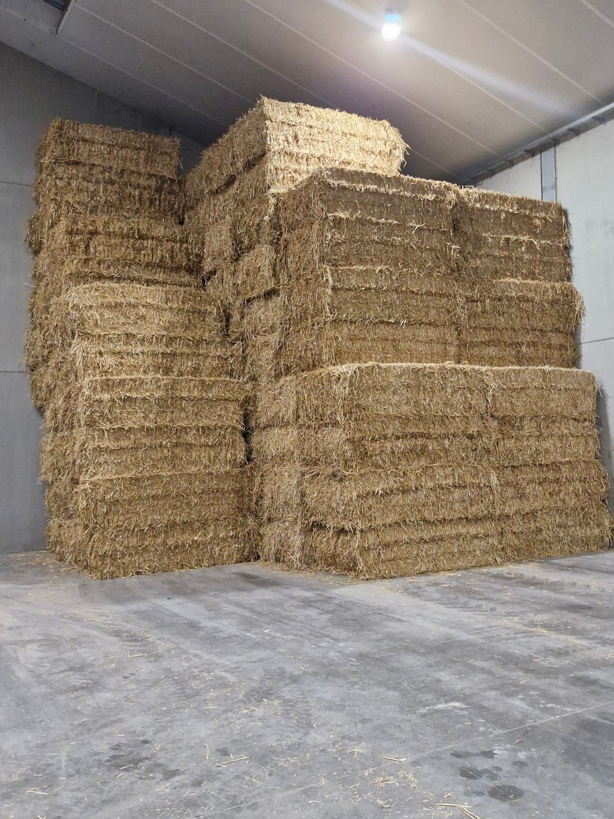 Stro, grote balen, Articles professionnels, Agriculture | Aliments pour bétail, Enlèvement