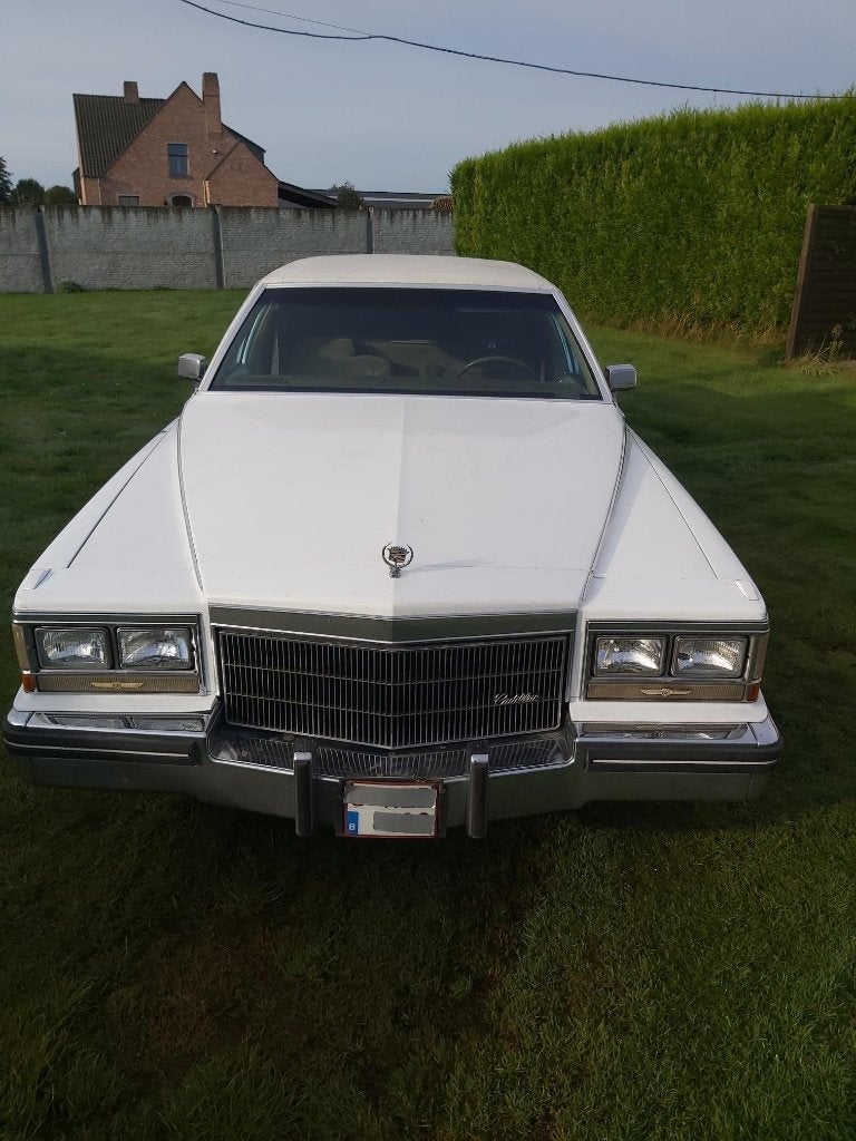 oldtimer, Autos, Oldtimers & Ancêtres, Cadillac, Achat, 4 portes, 4200 cm³