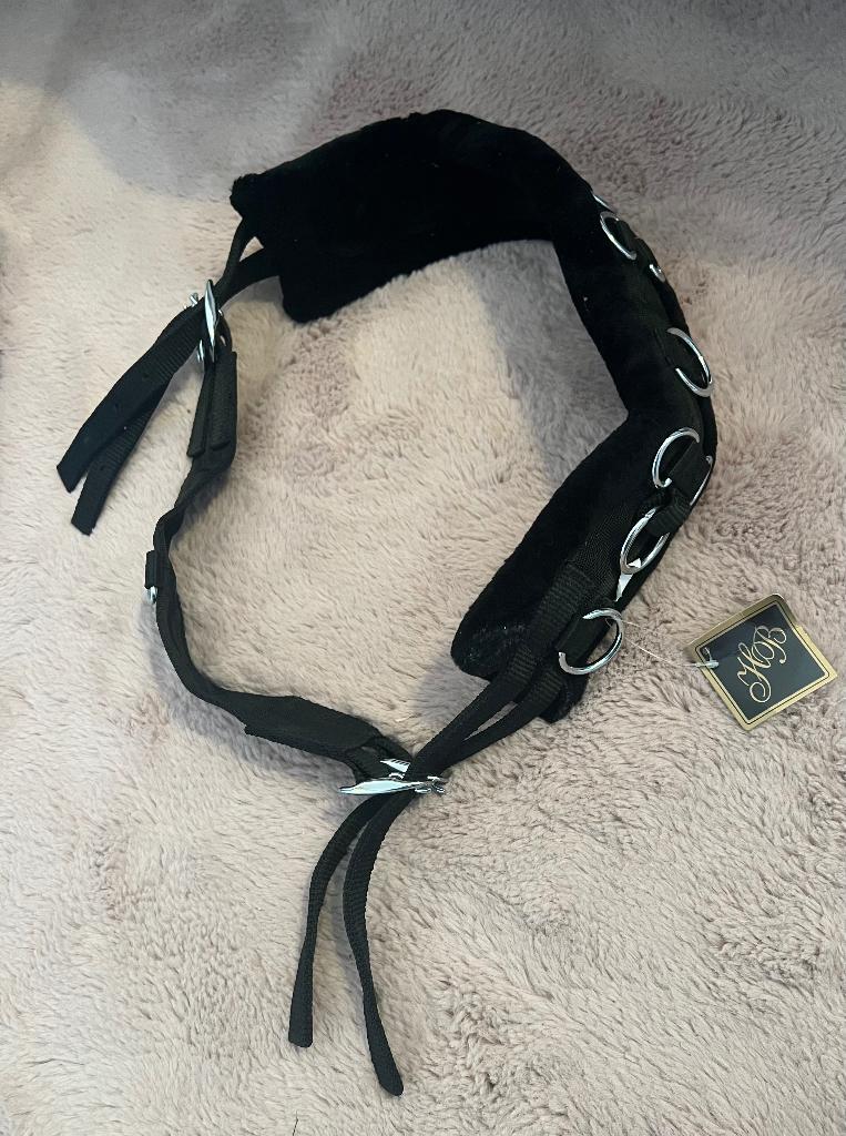 Mini Shetlander spullen, Dieren en Toebehoren, Pony's, Meerdere dieren