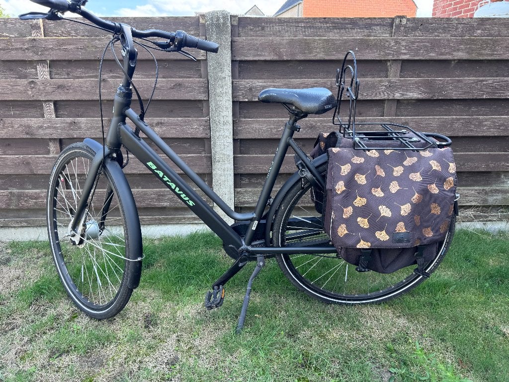 Batavus Fonk, Vitesses, Frein à tambour, Batavus, Enlèvement