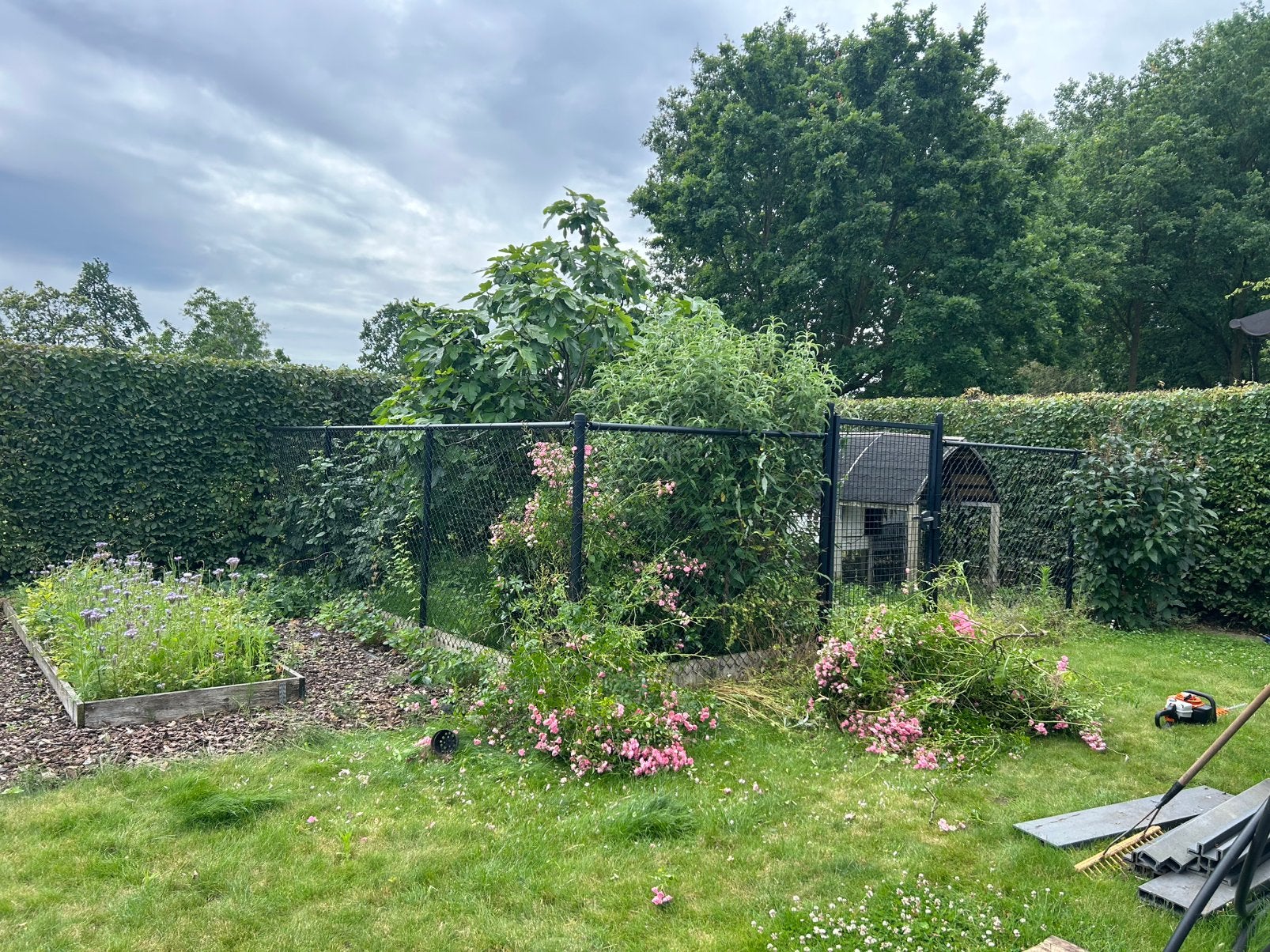 Vlechtwerkafsluiting draadafsluiting bekeart betafence, Tuin en Terras, Ophalen