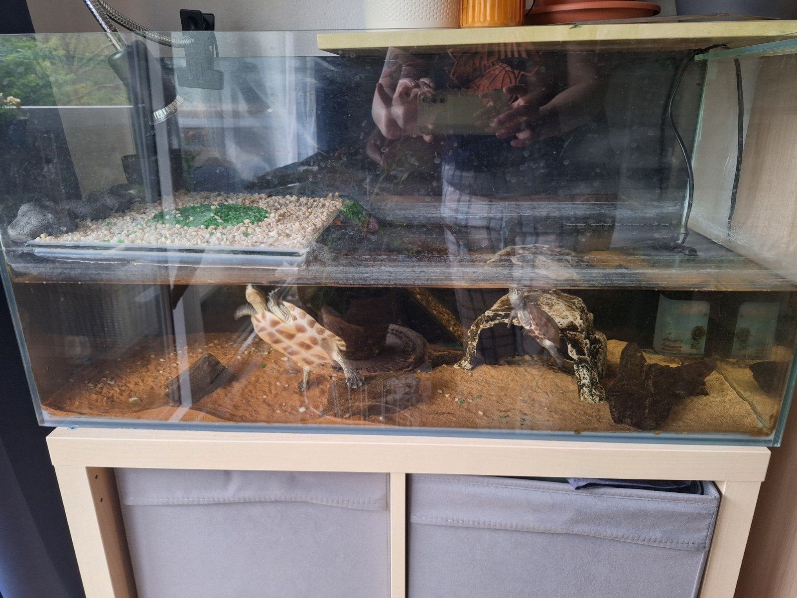 Aquarium 100litres avec accesoires et vivants, Animaux & Accessoires, Reptiles & Amphibiens | Accessoires, Enlèvement