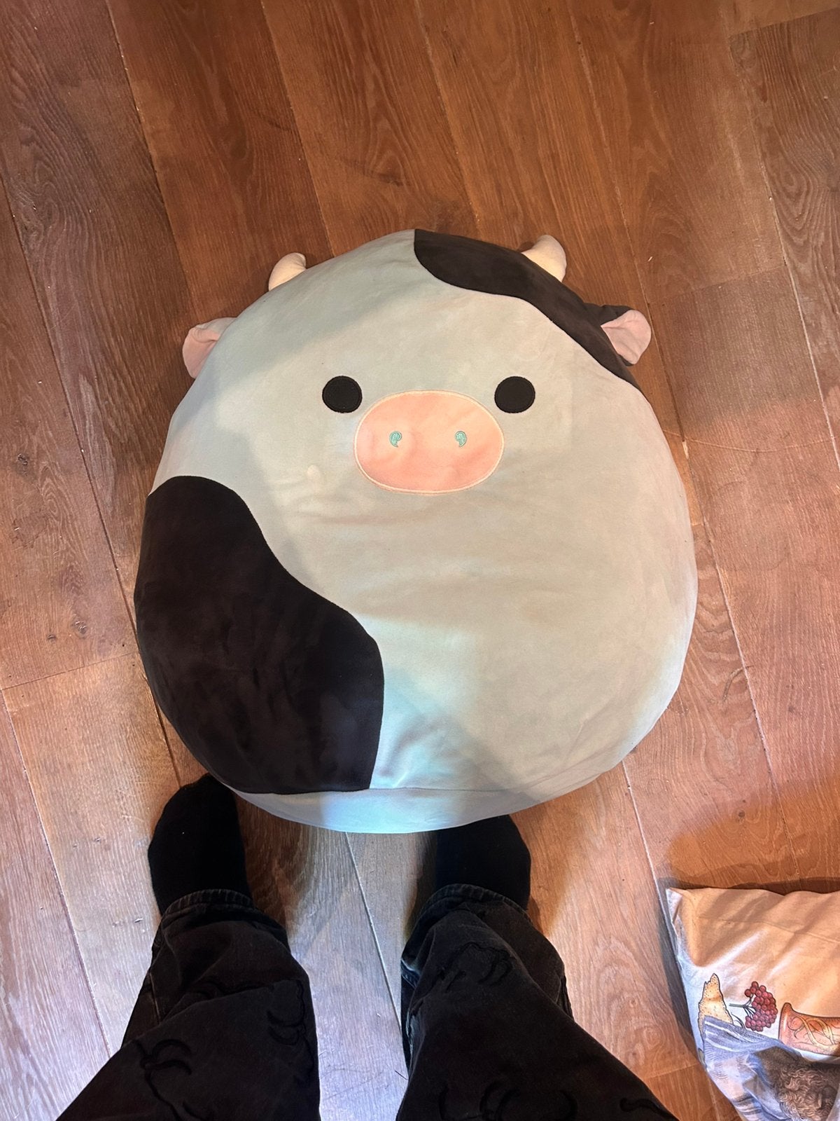 Squishmallow 50cm cillian de koe, Ophalen, Zo goed als nieuw, Koe, Squishmallow