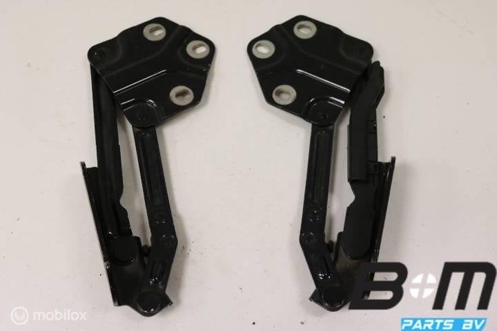 Set motorkapscharnieren Volkswagen Touran 1T 2003-2008, Utilisé