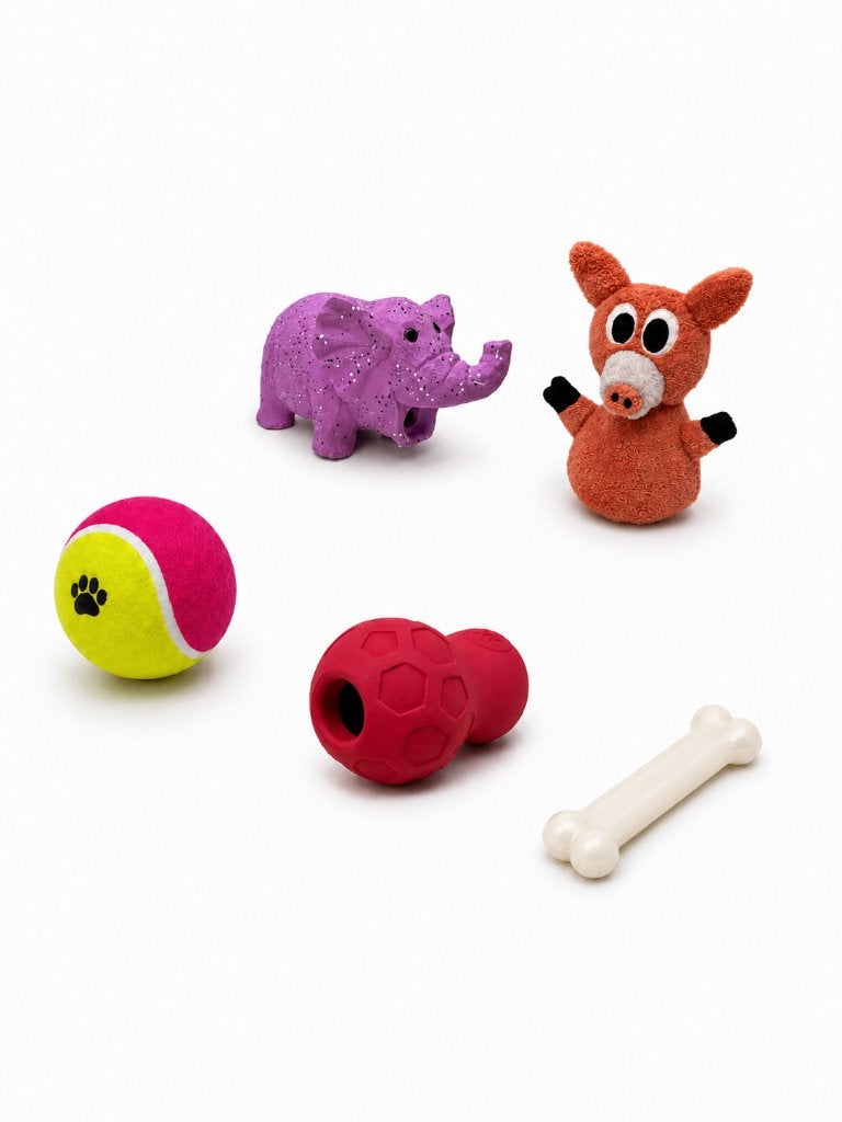 Honden speel set Medium, Dieren en Toebehoren, Ophalen of Verzenden, Nieuw, Hondenspeelgoed