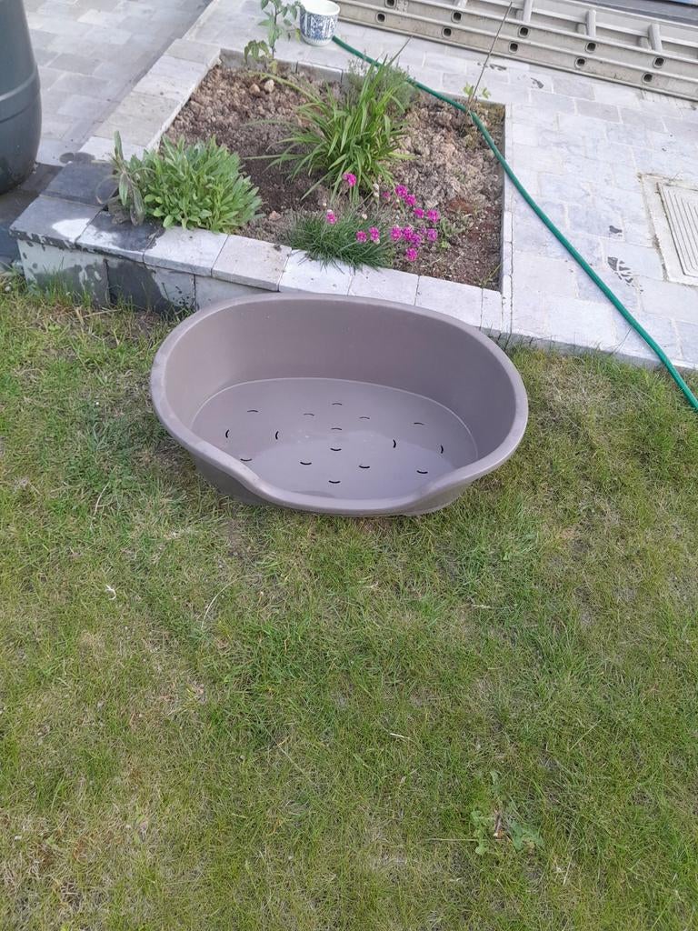 Grote honden mand, Ophalen