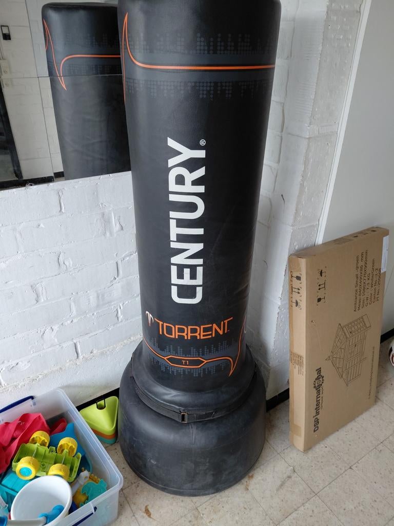 Bokspaal Century T1, Enlèvement