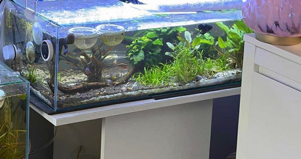 Aquarium, Dieren en Toebehoren, Ophalen, Zo goed als nieuw