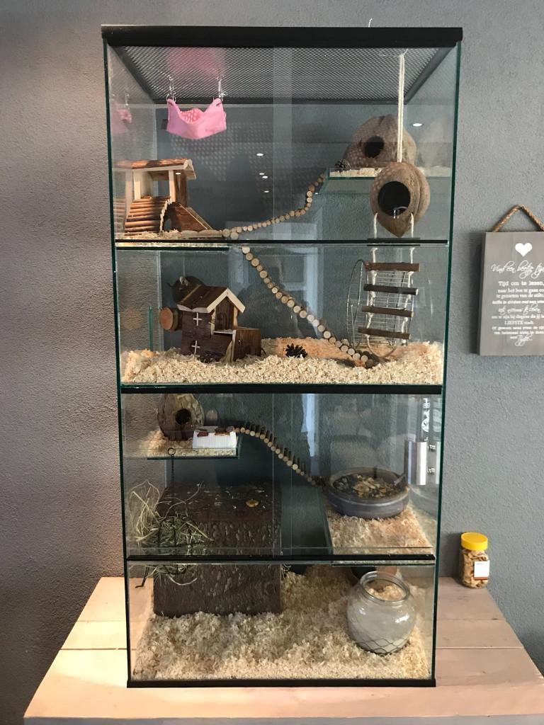 Stekelmuizen terrarium met veel ruimte, Dieren en Toebehoren, Ophalen of Verzenden, 90 cm of meer, Chinchilla, Hok