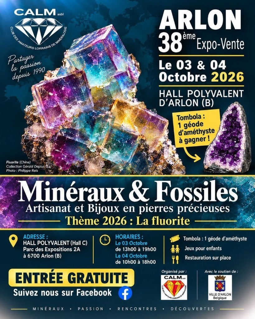 Bourse aux minéraux d'Arlon, Collections, Enlèvement ou Envoi