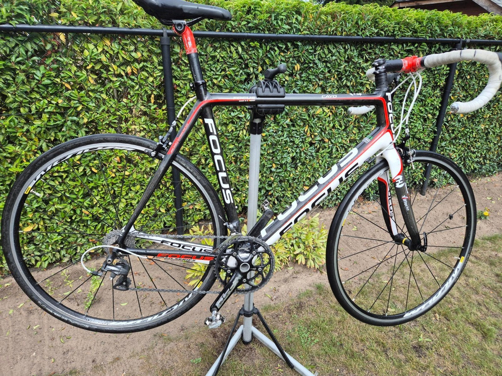 Racefiets Focus Cayo in perfecte staat te koop., Fietsen en Brommers, Ophalen, Gebruikt, 15 tot 20 versnellingen, Heren