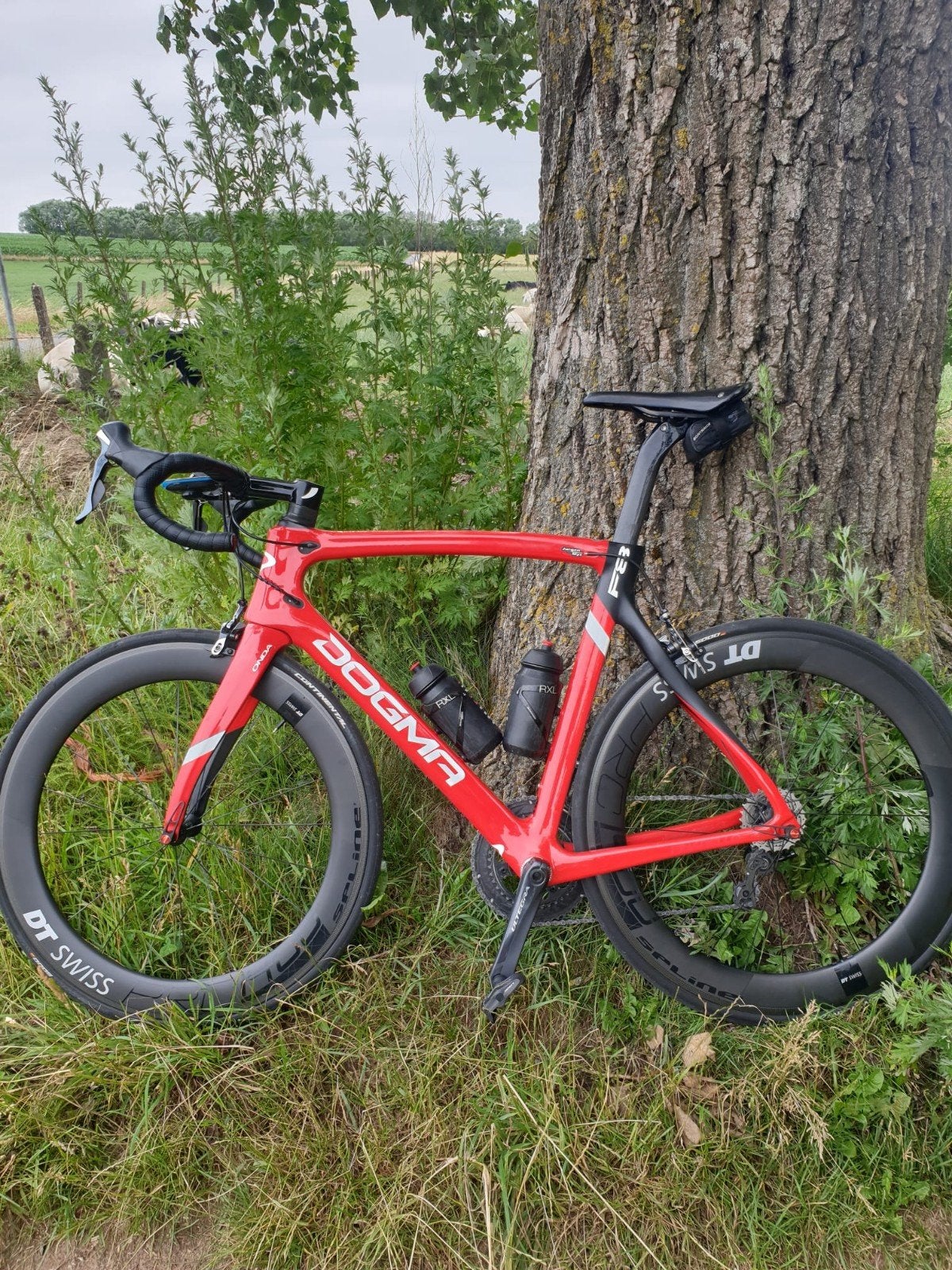 Pinarello dogma F8 , maat 57,5, Vélos & Vélomoteurs, Enlèvement