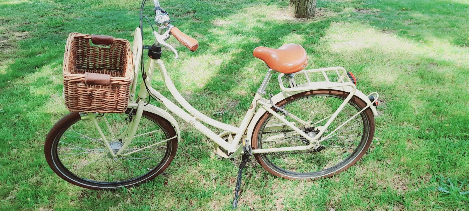 Dames fiets, Fietsen en Brommers, Fietsaccessoires | Aanhangwagens en Karren, Ophalen