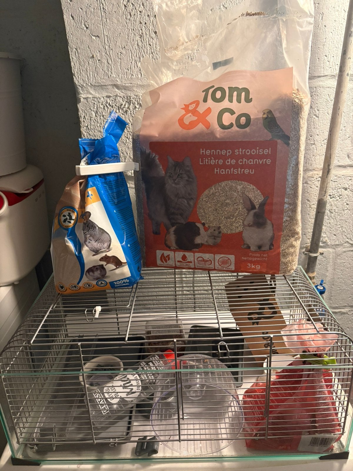 Cage en verre et accessoires, Ophalen, Zo goed als nieuw, Kooi, Hamster
