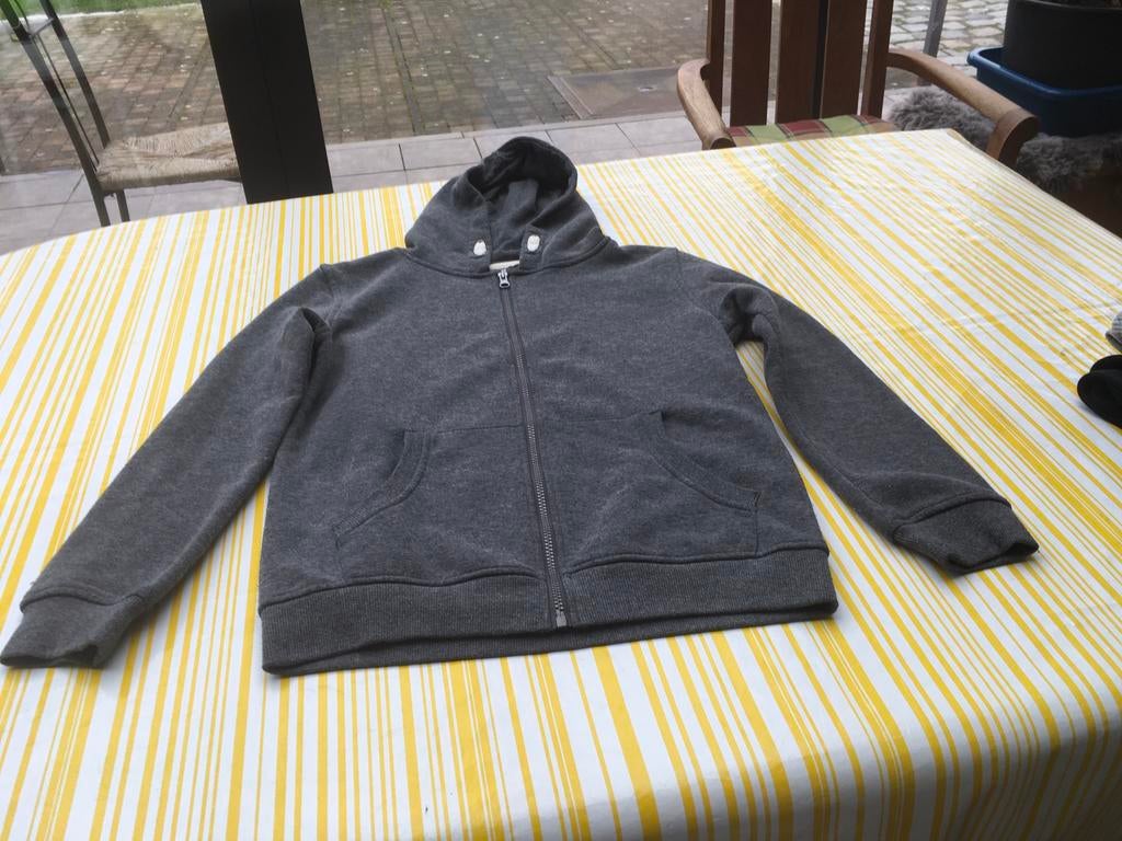 Pull met kap - maat 158, Kinderen en Baby's, Kinderkleding | Maat 158, Ophalen, Zo goed als nieuw, Jongen of Meisje, Trui of Vest