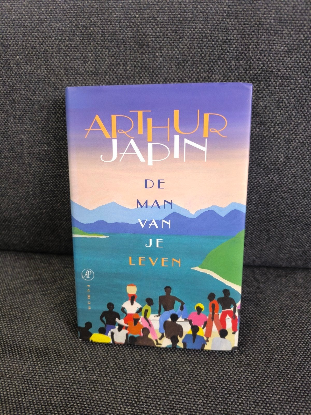De man van je leven (Arthur Japin), Boeken, Ophalen, Zo goed als nieuw, Arthur Japin, Nederland