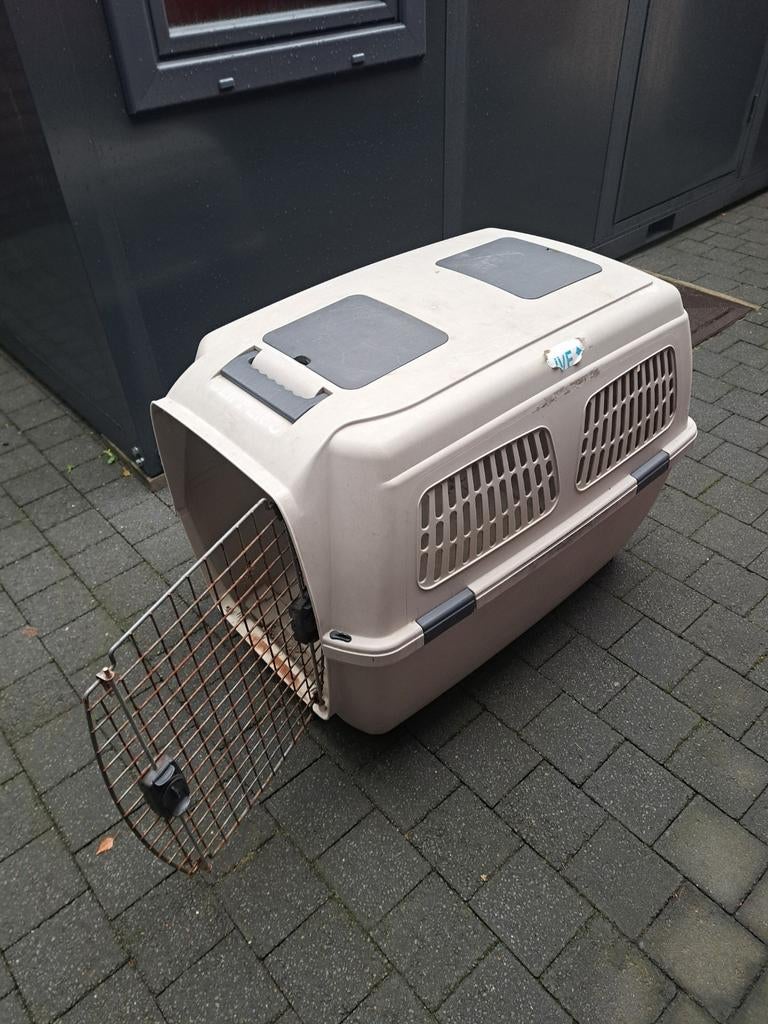 Transportbox Clipper 6, Animaux & Accessoires, Boîtes de transport, Enlèvement, Utilisé
