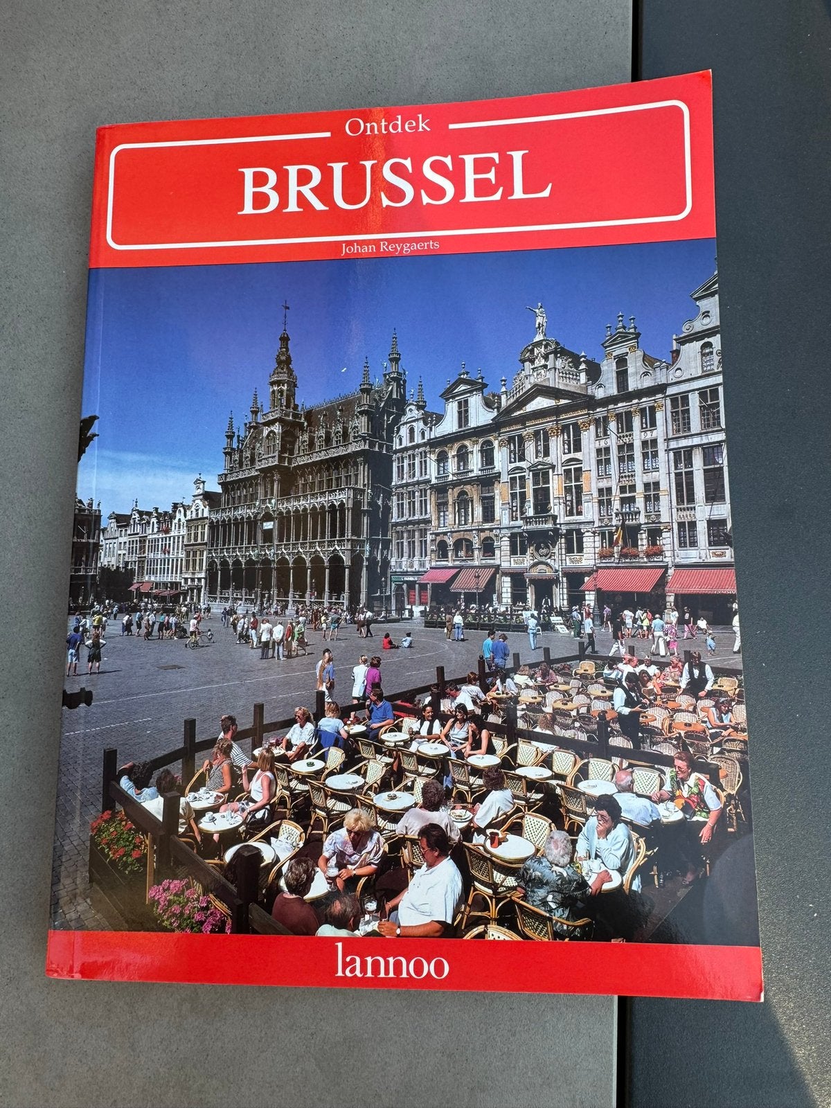 Gids Brussel Lannoo, Enlèvement ou Envoi, Comme neuf