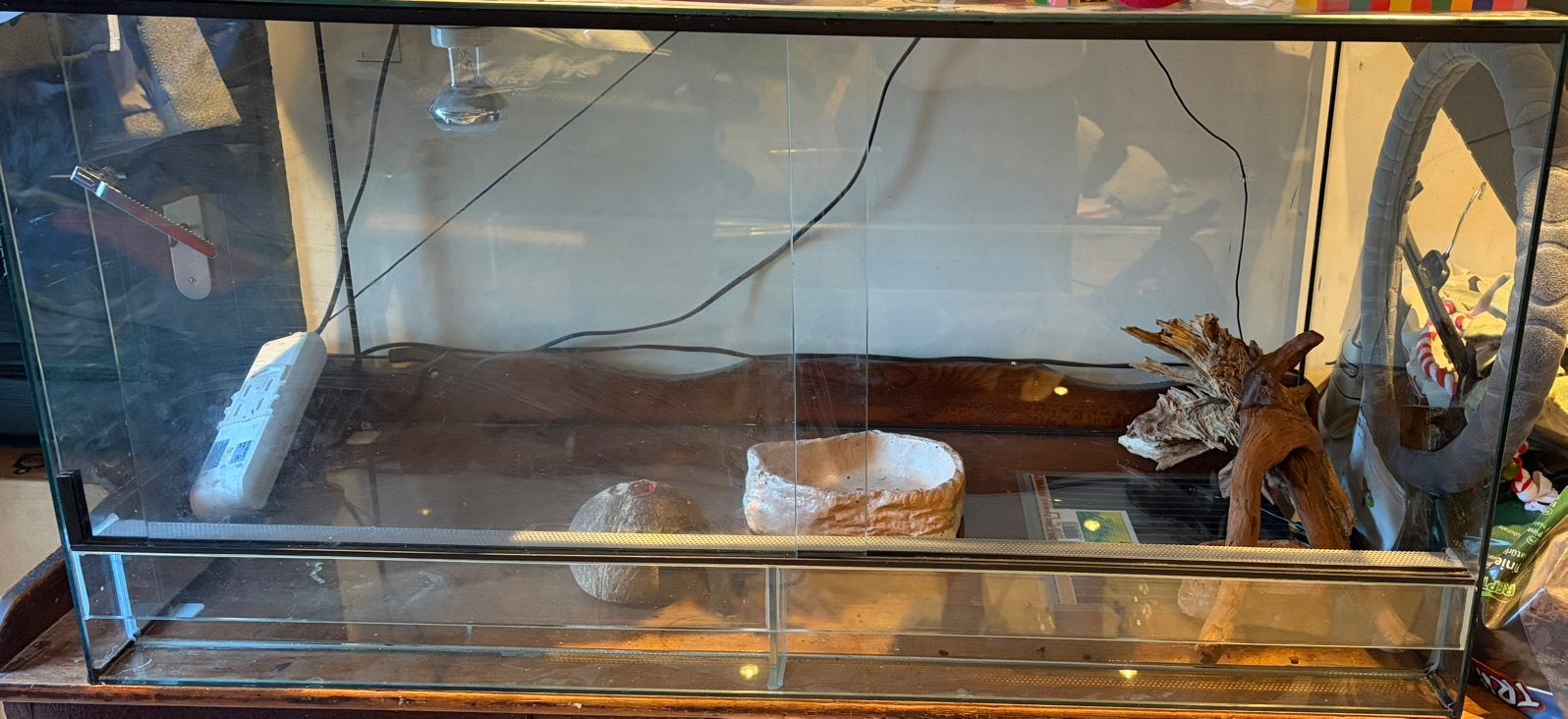 Terrarium pour reptiles, Animaux & Accessoires, Enlèvement, Comme neuf, Terrarium ou Paludarium