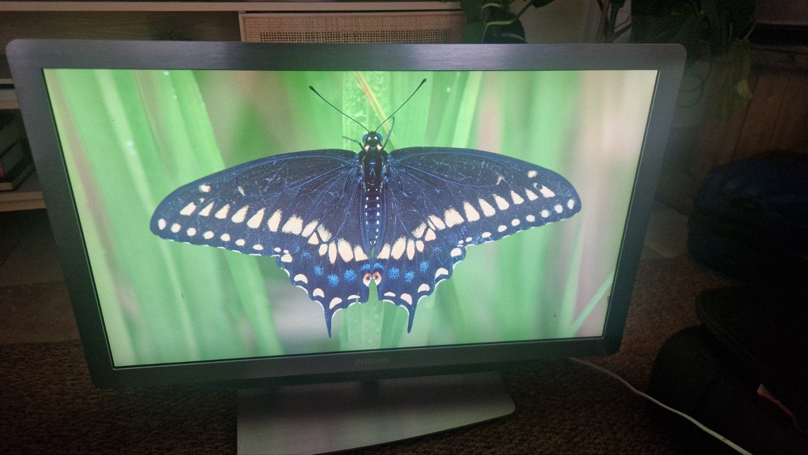 Philips  tv, Enlèvement, Philips
