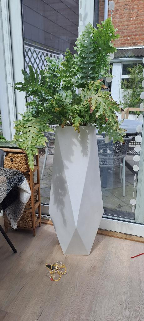 Witte hoge Plantenbak, Gebruikt, Binnen, Metaal, Overige vormen