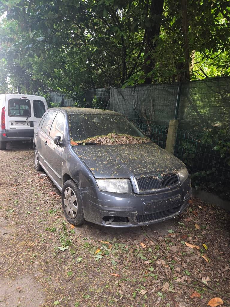 Skoda fabia benzine, Auto's, Skoda, Particulier, Fabia, Te koop, Benzine