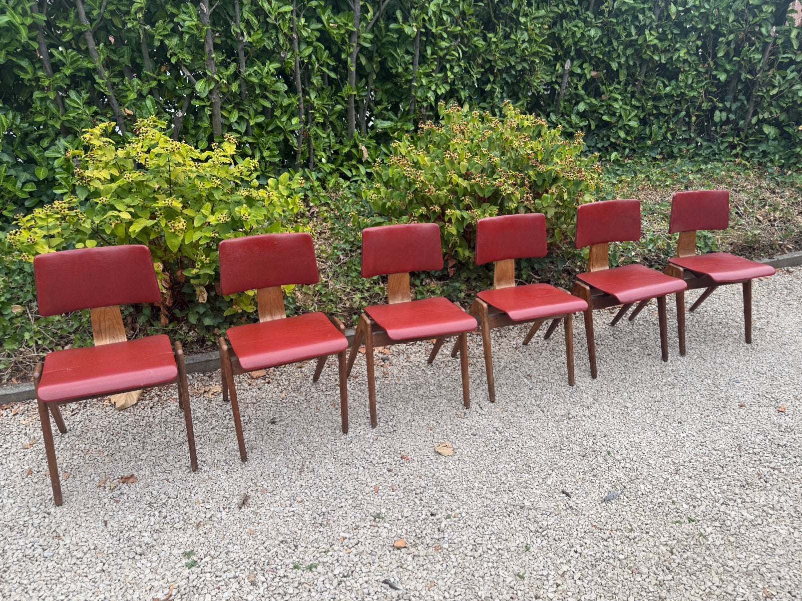 Ensemble de 6 chaises design Hillestack, Robin Day, 1950, Rouge, Jaren 50 design, Bois, Enlèvement